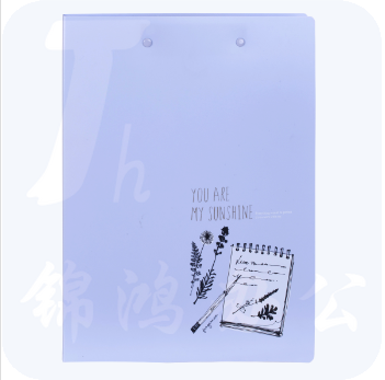 得力 5300 文件夹双强力夹 A4 (单位:个) 混色