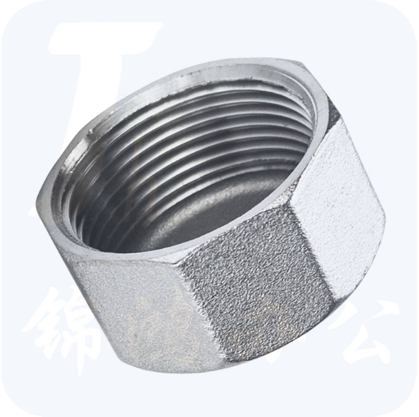 不锈钢六角管帽   内螺纹封头闷盖管堵头  DN20  货号：JC