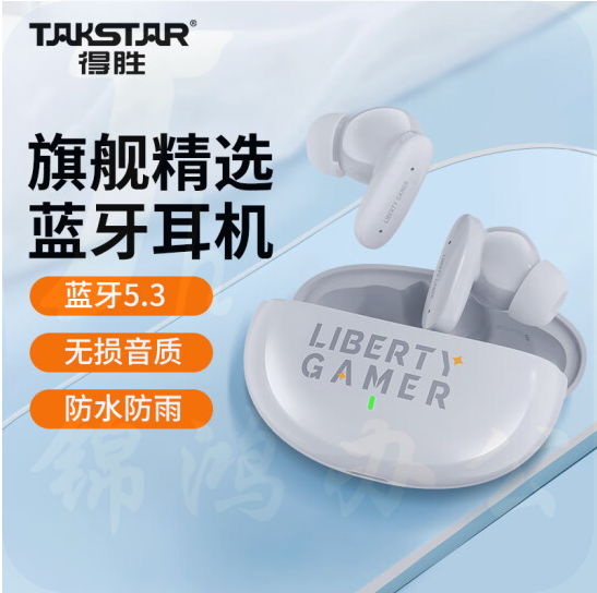 得胜（TAKSTAR）LE100W 真无线耳机  运动音乐耳机蓝牙5.3 防水音乐耳机重低音入耳式