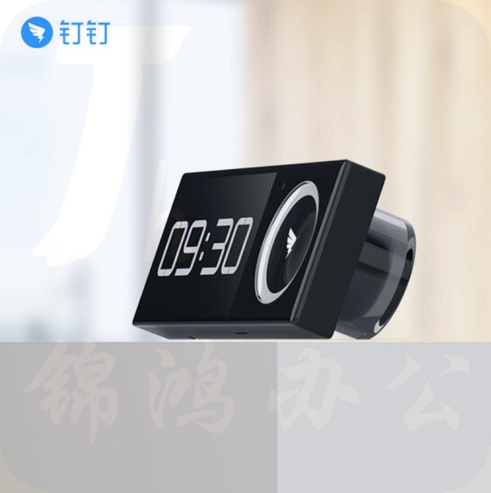 钉钉  智能考勤机M1Y 面部人脸识别考勤机  货号：JC