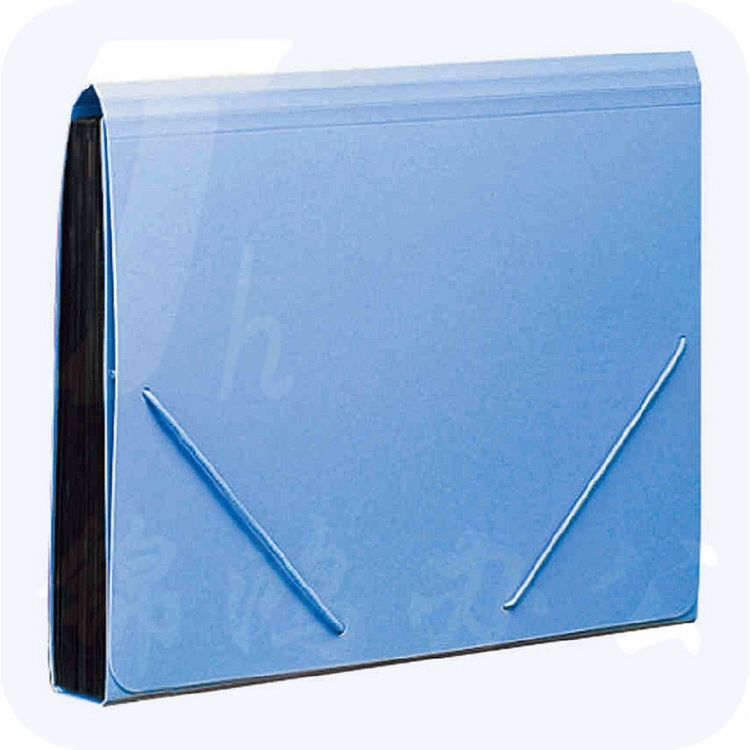 齐心F4302风琴包易分类 松紧带式风琴包,A4,12格(个)