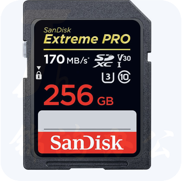 闪迪256G   C10高速内存卡 索尼 佳能 尼康 单反微单相机 摄像机 SD一体大卡 存储卡 SDXC读速170MB/S U3