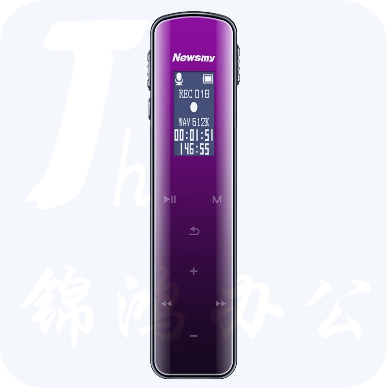 纽曼（Newsmy）录音笔 V29 16G 大电量长待机 触控键专业高清远距降噪声控FM收音机 学习培训会议留证 渐变紫