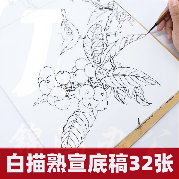 工笔画底稿白描花鸟 综合款底稿32张   货号：JC