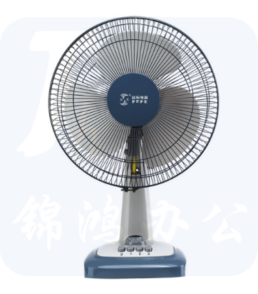 远东（ FAREAST )  风扇  台式 摇头家用静音电风扇  FT-30-T6  12寸