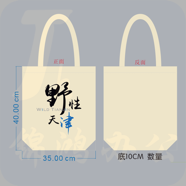 帆布袋，白色，含拉链 （100个起订）