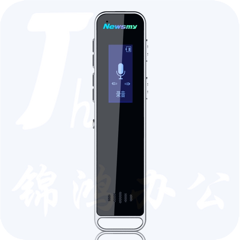 纽曼（Newsmy）录音笔 RV51 经典实用HIFI 微型远距高清降噪 学习培训商务会议录音速记 mini 32G黑色