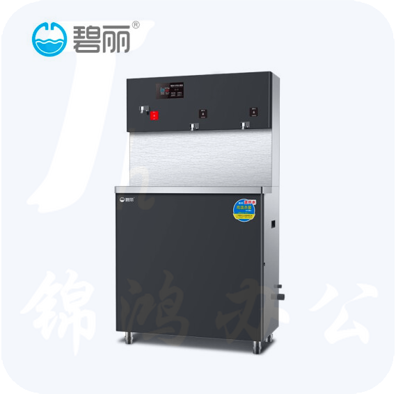 碧丽 JO-3Q5B 校园饮水机净水机温开水机一开两温3KW
