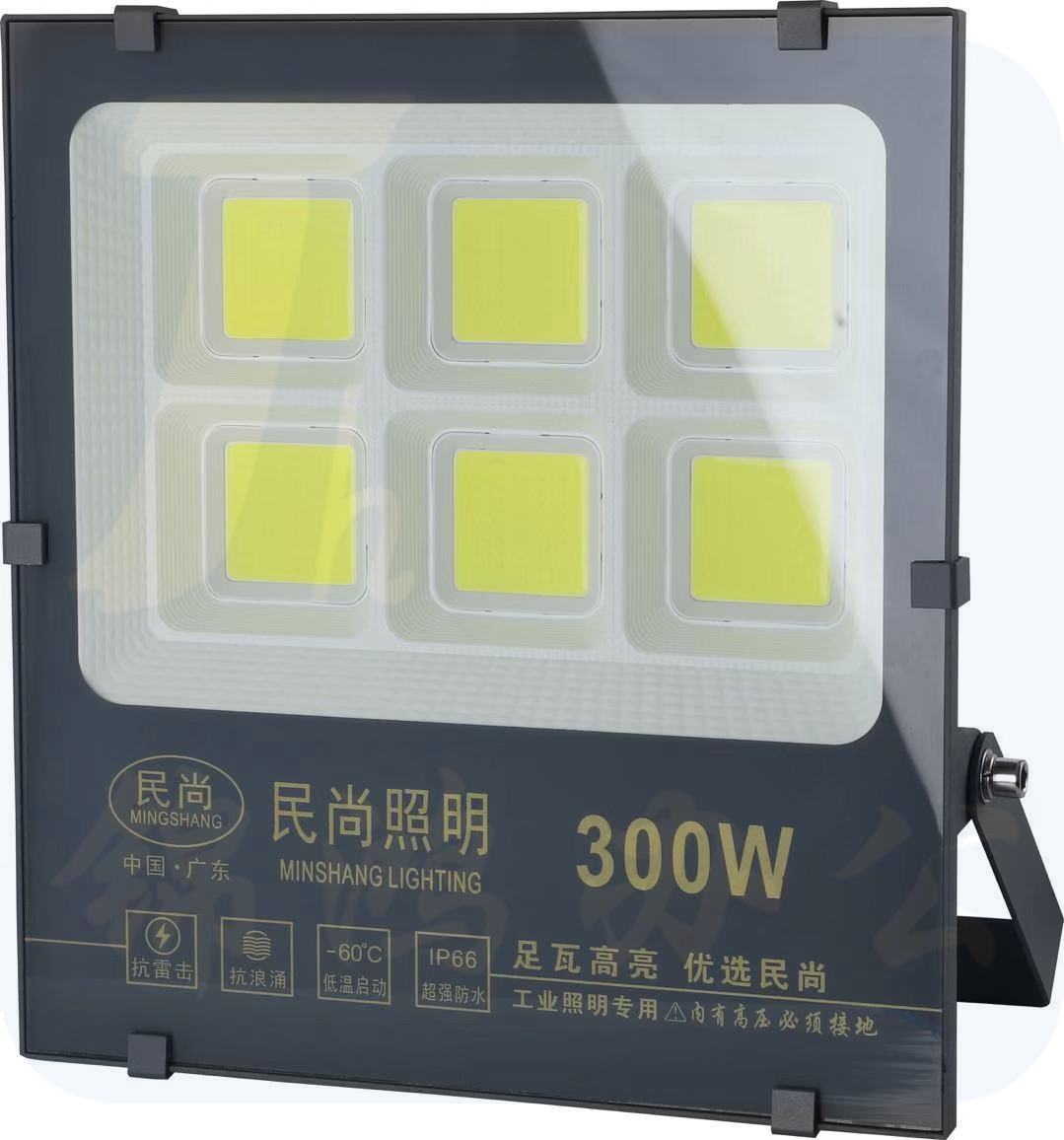 民尚 LED投光灯300W COB户外防雨亮化照明（不含安装）