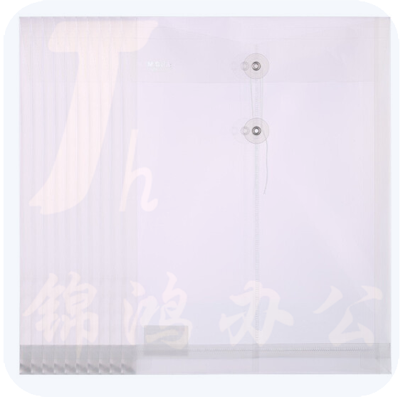 晨光 A4竖式线扣档案袋 ADM94518 （12只）