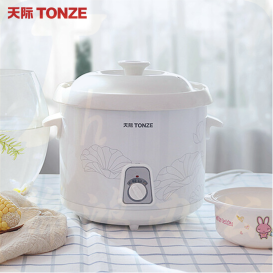 天际（TONZE）DDG-30N 慢炖型电炖锅 养生煲陶瓷炖锅煮煲汤煮粥锅慢炖锅适合2-3人 (3升) 货号：WY