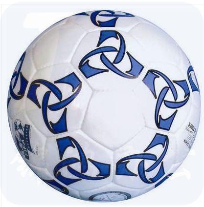 南华利生  ls-5c冠军足球  ls-5号足球  进口丁基胆、高级PU革、表面经防滑、防水处理（带包）