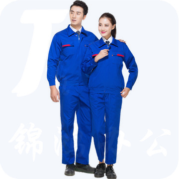 威特仕 春秋款长袖防静电工作服套装(上衣+裤子） 上衣+裤子 彩色