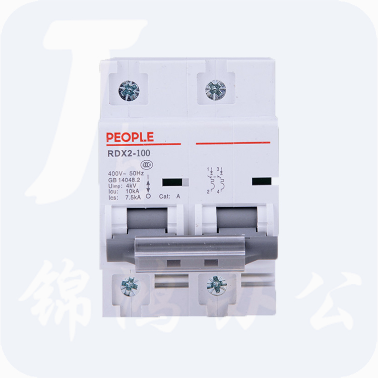人民电器 断路器 RDX2-100（100A／2P）大功率断路器
