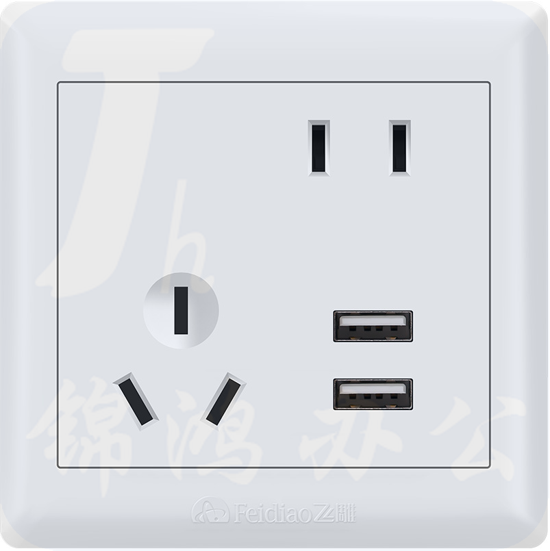 飞雕 斜五孔带二位USB开关插座86暗装墙面开关插座E5-A墙壁开关
