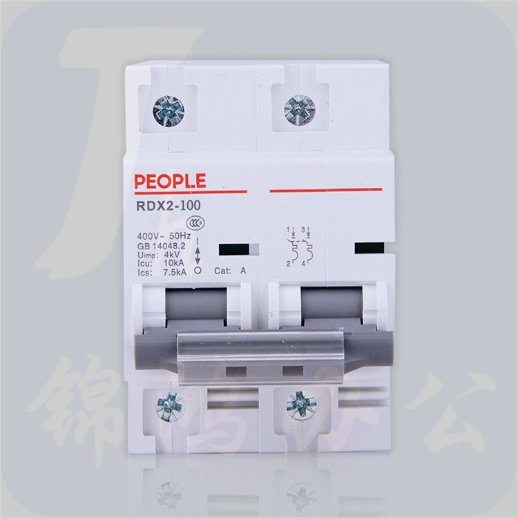 人民电器 断路器 RDX2-100（80A／2P）大功率断路器