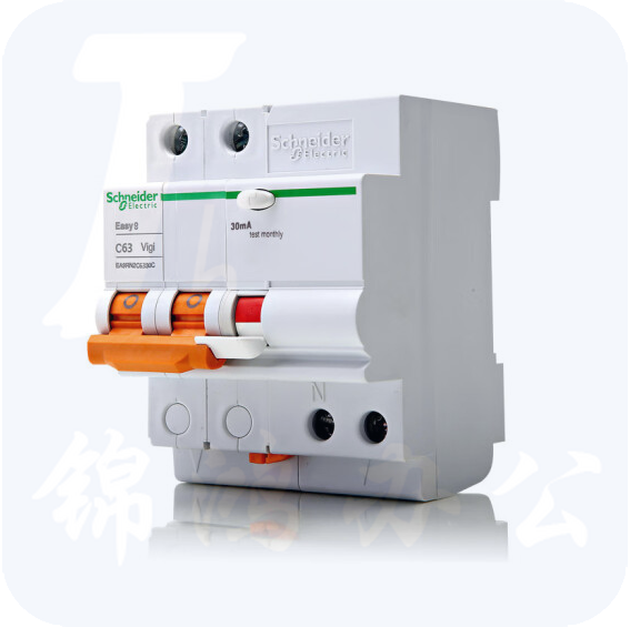 施耐德   漏电保护器 DPN  2P16A    货号：JC