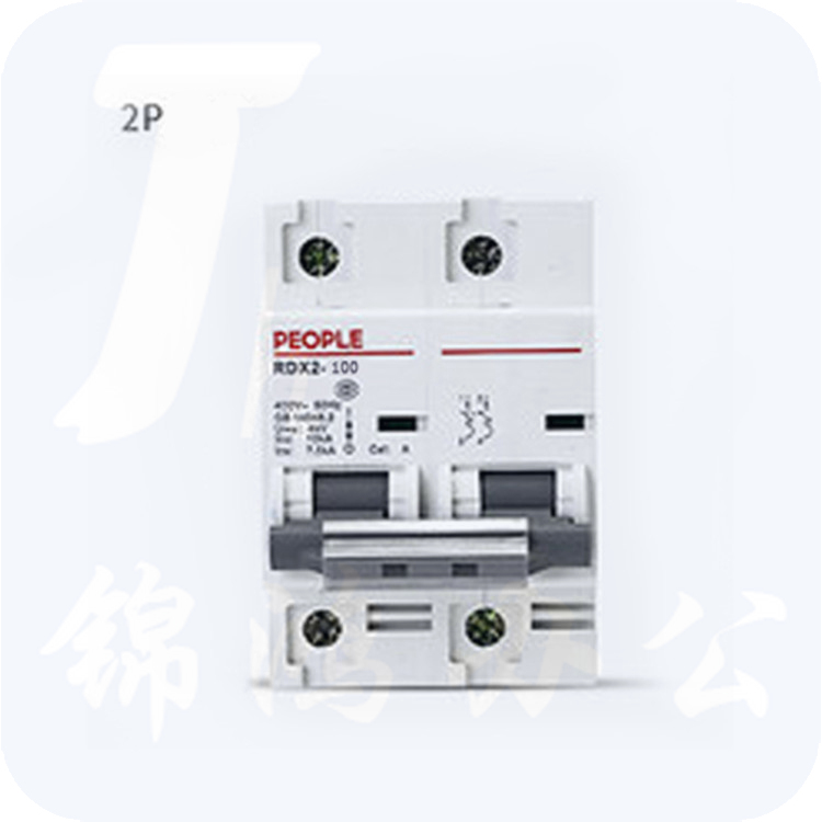 人民电器 断路器 RDX2-100（63A／2P)大功率断路器