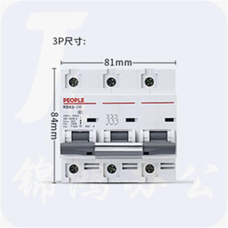 人民电器 RDX2 3P/100A 大功率断路器