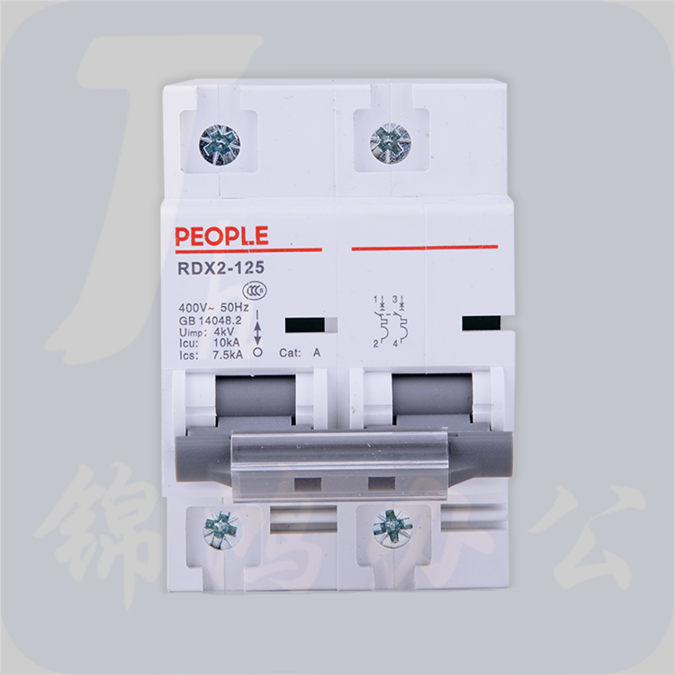 人民电器 断路器 2P RDX2 2P/125A大功率断路器