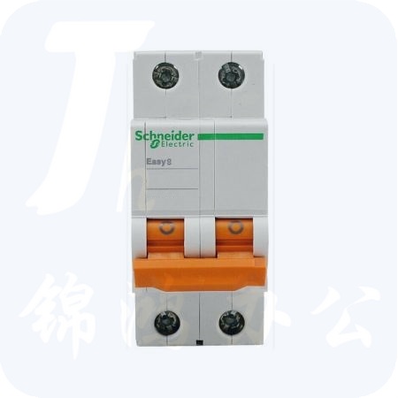 施耐德 小型断路器 EA9AN-C2P/25A