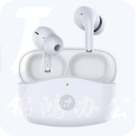 科大讯飞真无线蓝牙耳机 主动降噪入耳式 苹果华为小米手机通用  iFLYPODS PY1 白色