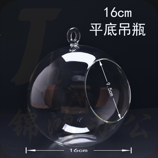 微景观生态瓶  平底吊瓶 收纳瓶 直径16cm
