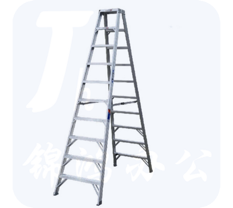 稳耐（werner）T310CN铝合金双侧梯
