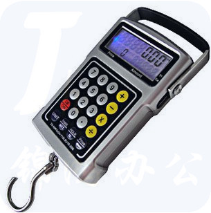 威恒 便携式电子手提秤 50KG 手提称电子称