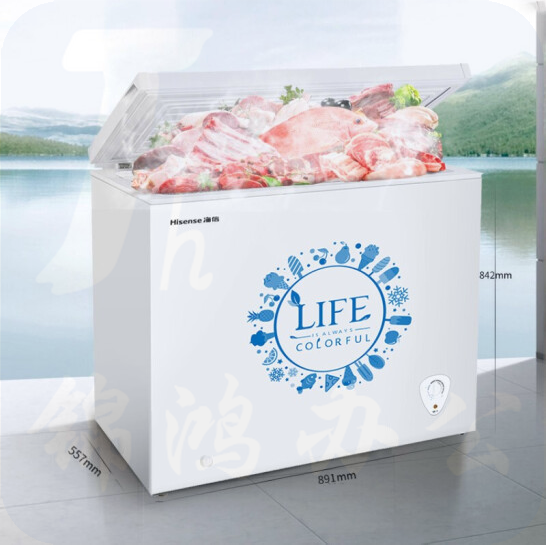 海信 (Hisense) 203升 家用冷柜 冷藏冷冻转换冰柜 大冷冻力节能静音 顶开门单门冰箱BD/BC-203N/A