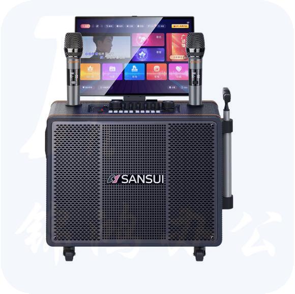 山水（SANSUI） PE105便携户外广场舞拉杆音响  17吋屏+PE105三分频+500G  货号：LJ