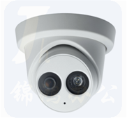 海康威视 网络摄像机  DS-2CD2325F-ISZC