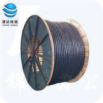 津达  5芯10平方   带恺