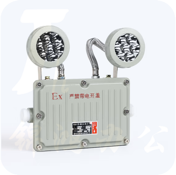 防爆应急照明灯  防爆应急灯