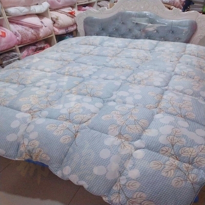 绮虹  羽丝绒  被子  160*210  冬季 羽丝绵被（颜色随机发送）