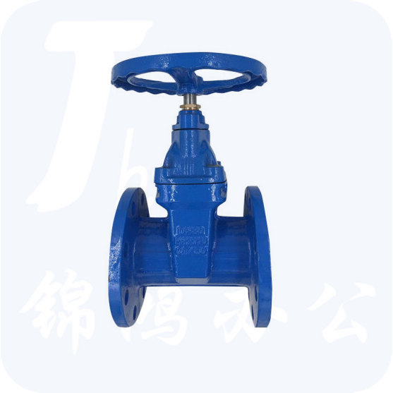 闸阀 DN100 货号：JC