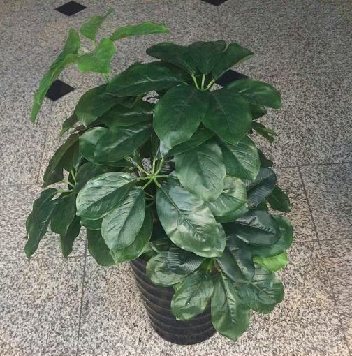 高仿真绿植70Cm  带加厚盆30Cm  带绿草坪  货号：NK