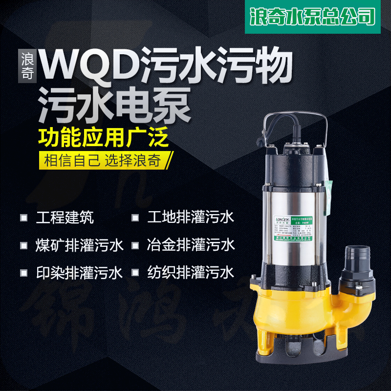 浪奇WQD自动型不锈钢潜水泵220V家用/农用/防汛排污泵污水泵