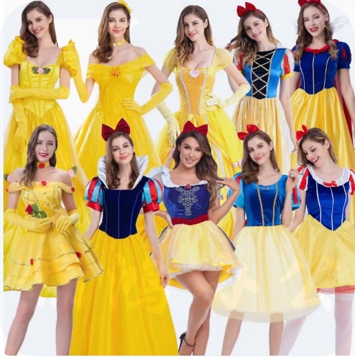 灰姑娘演出服饰  货号：LJ