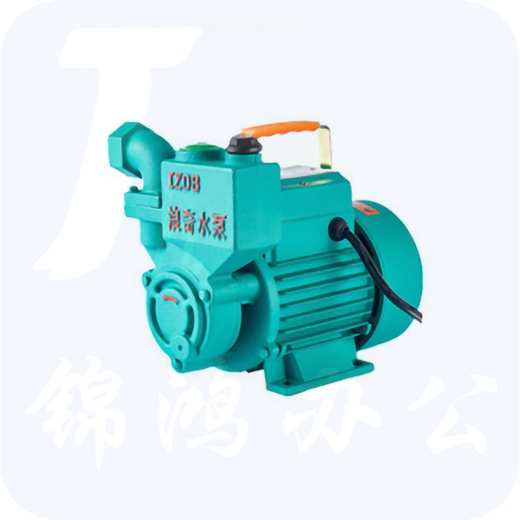 浪奇 IZDB-65-750W 自吸泵