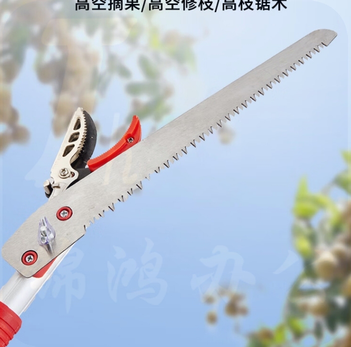 高空剪枝剪果树剪修剪树枝剪刀