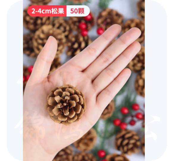 自然环创材料松果  2-4厘米（50个）  货号：LJ