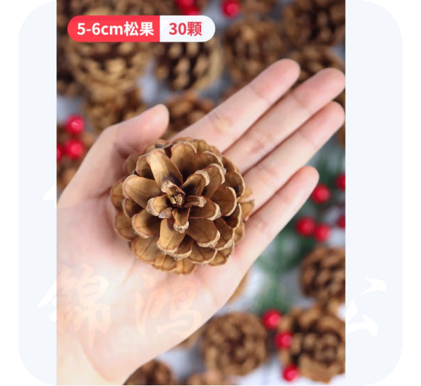 自然环创材料松果 5-6厘米（30个）  货号：LJ